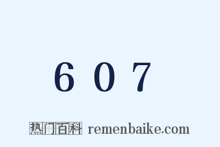 607是什么意思的图片